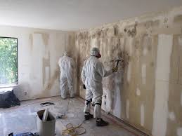 Best Black Mold Removal  in Melrose Park, IL